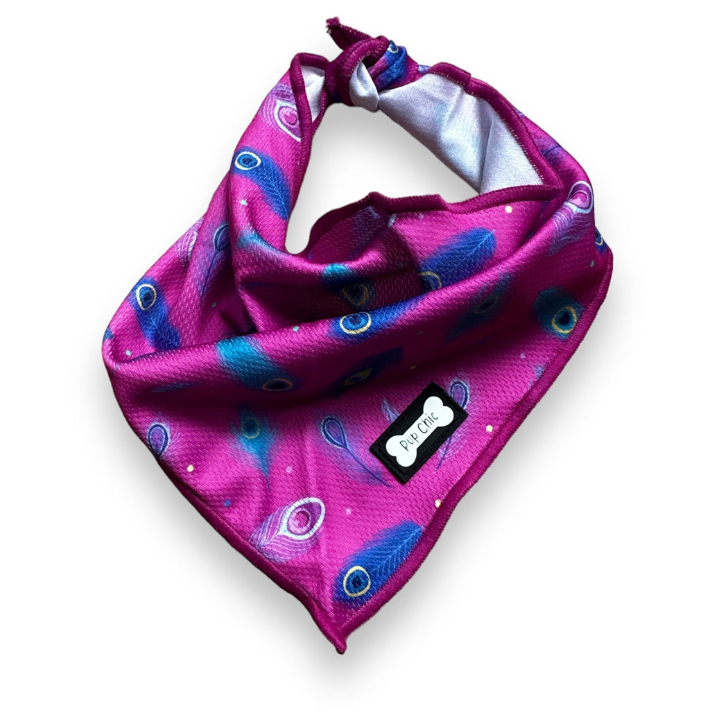 Peacock Power Cooling Bandana for Dogs