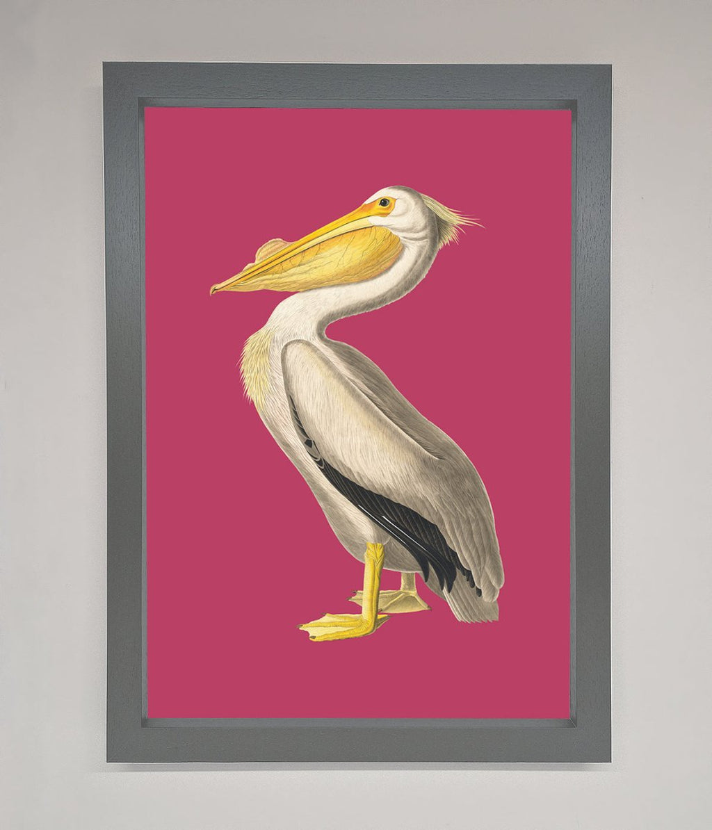 Pelican On Pink Framed Poster