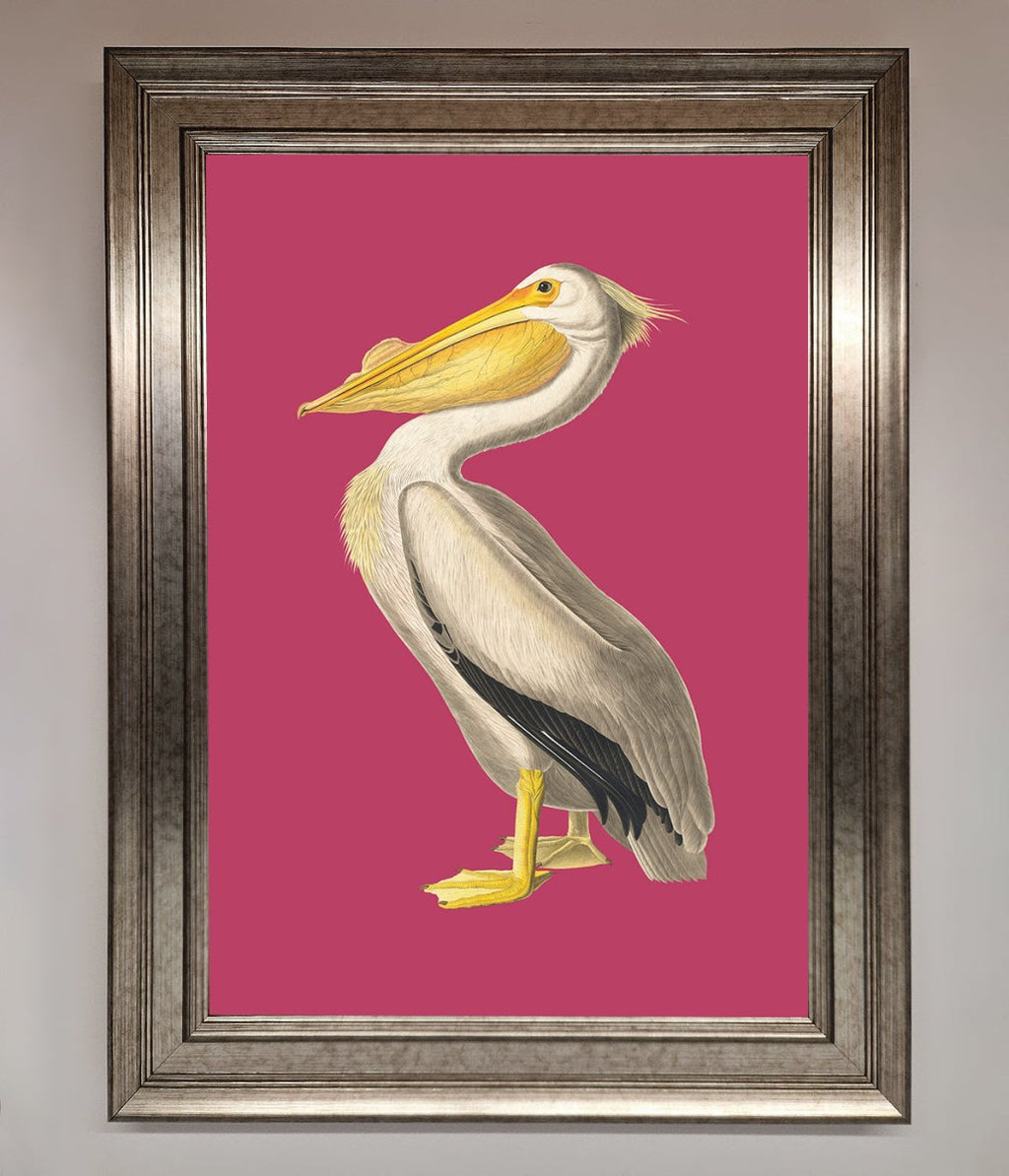 Pelican On Pink Framed Poster
