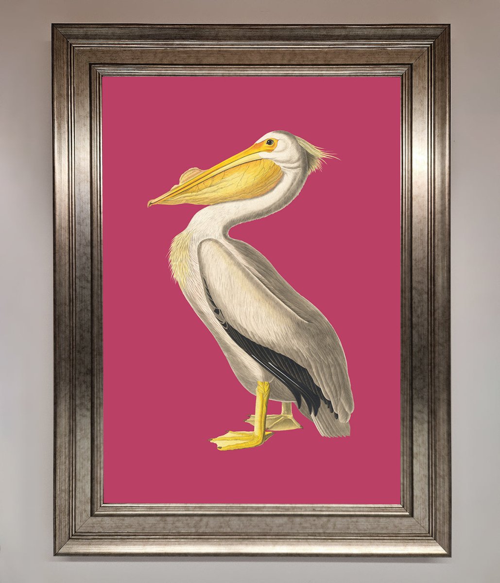 Pelican On Pink Framed Poster