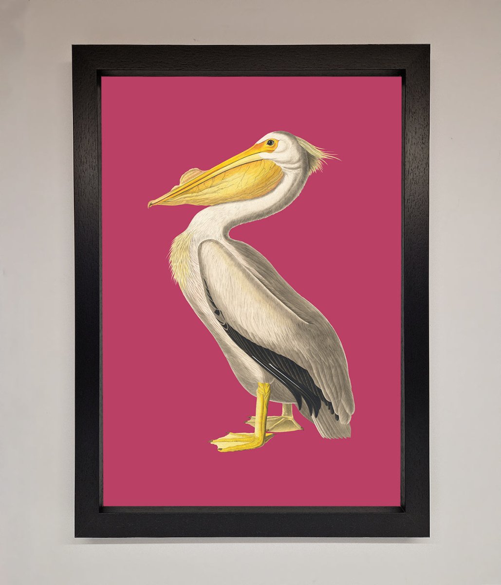 Pelican On Pink Framed Poster