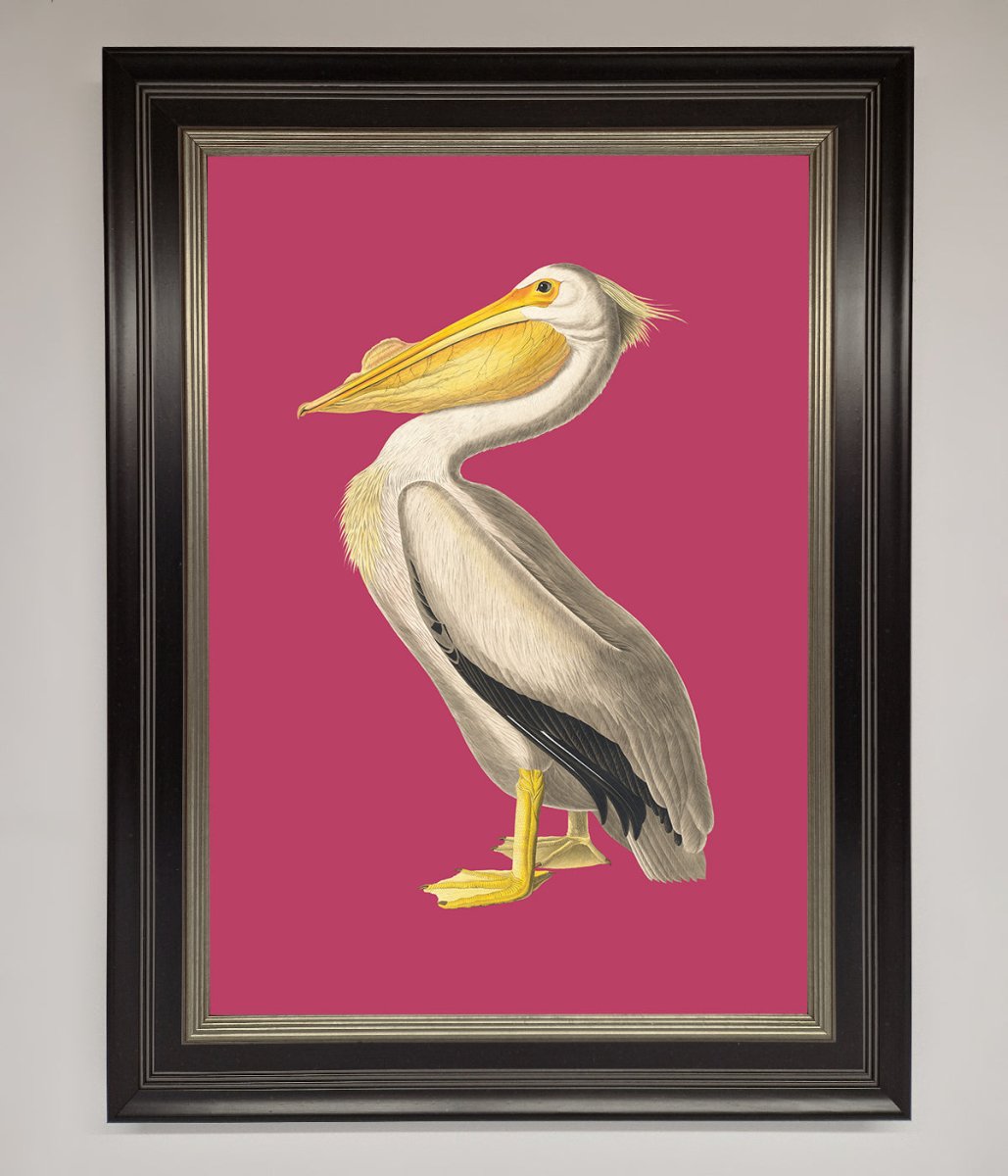 Pelican On Pink Framed Poster