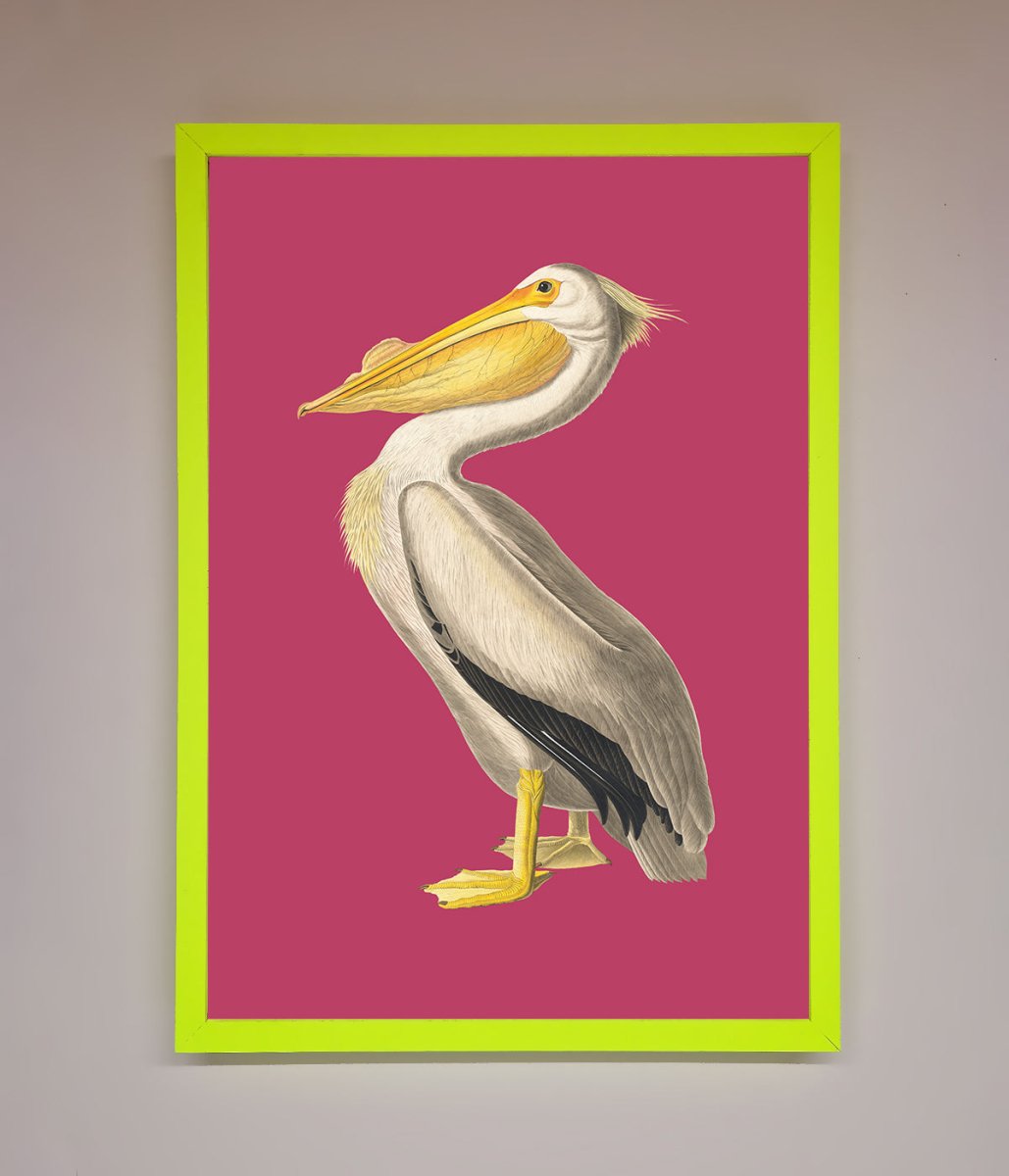 Pelican On Pink Framed Poster