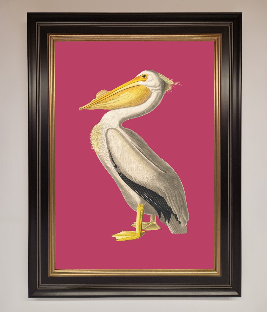 Pelican On Pink Framed Poster