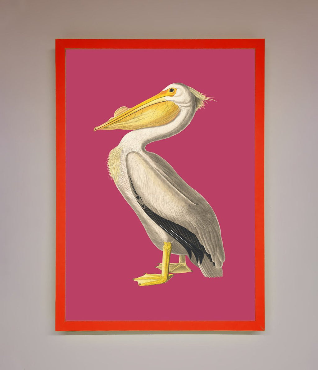 Pelican On Pink Framed Poster