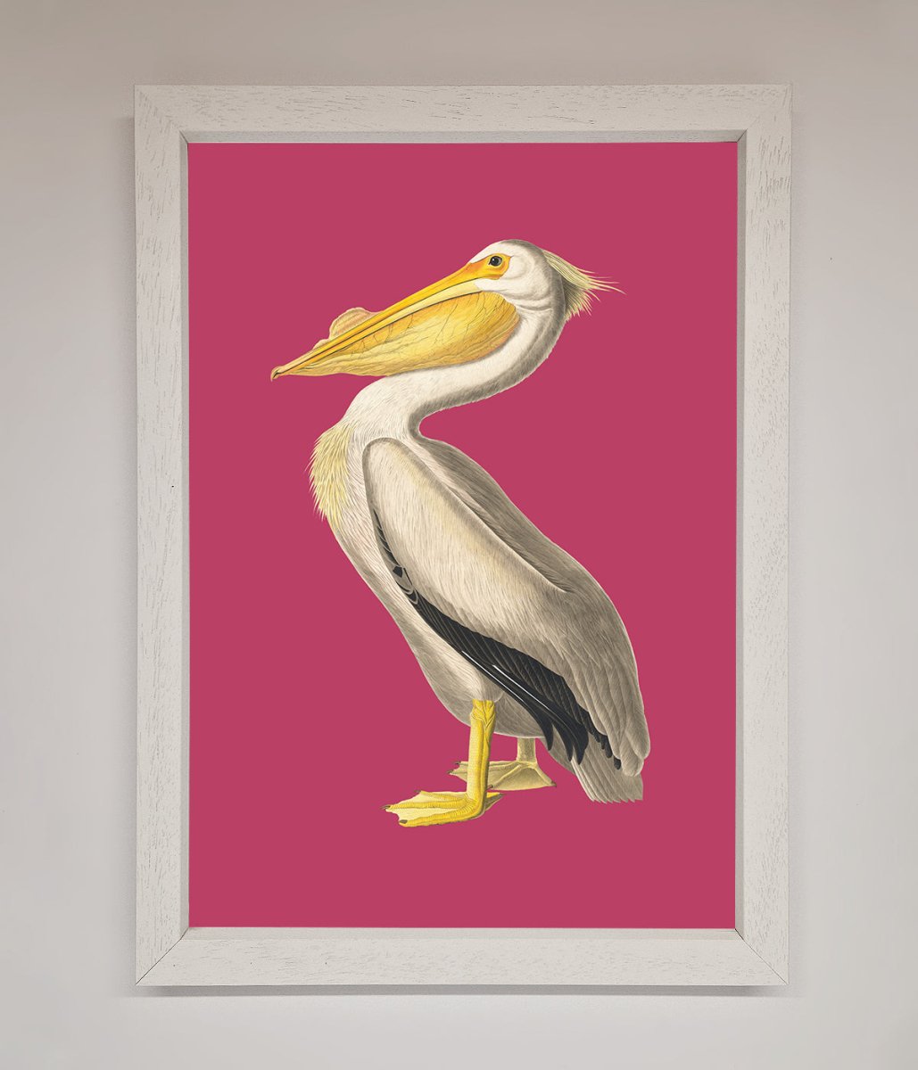 Pelican On Pink Framed Poster