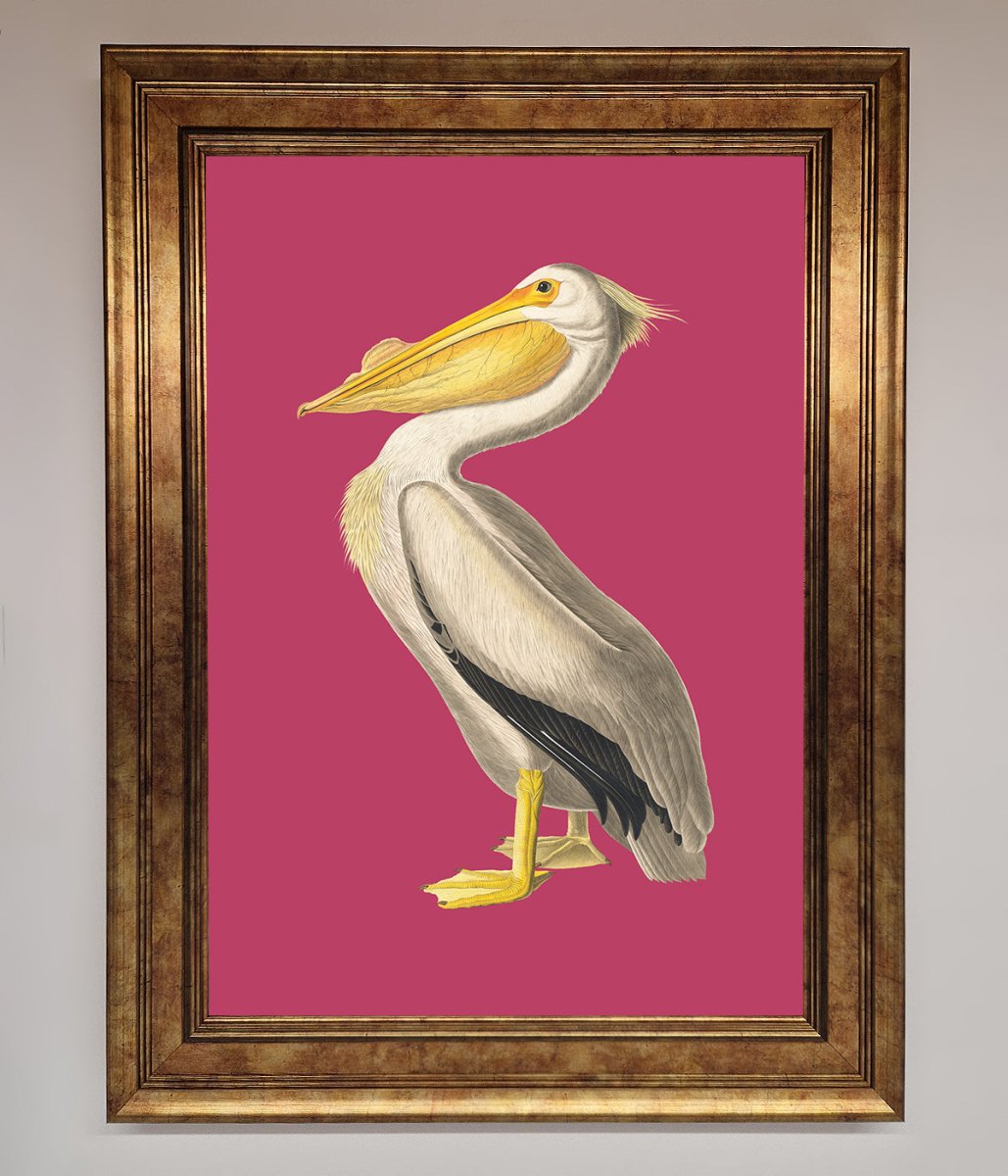 Pelican On Pink Framed Poster