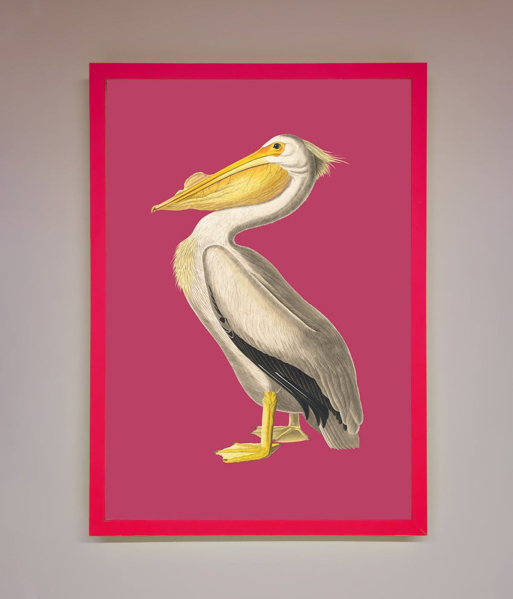 Pelican On Pink Framed Poster