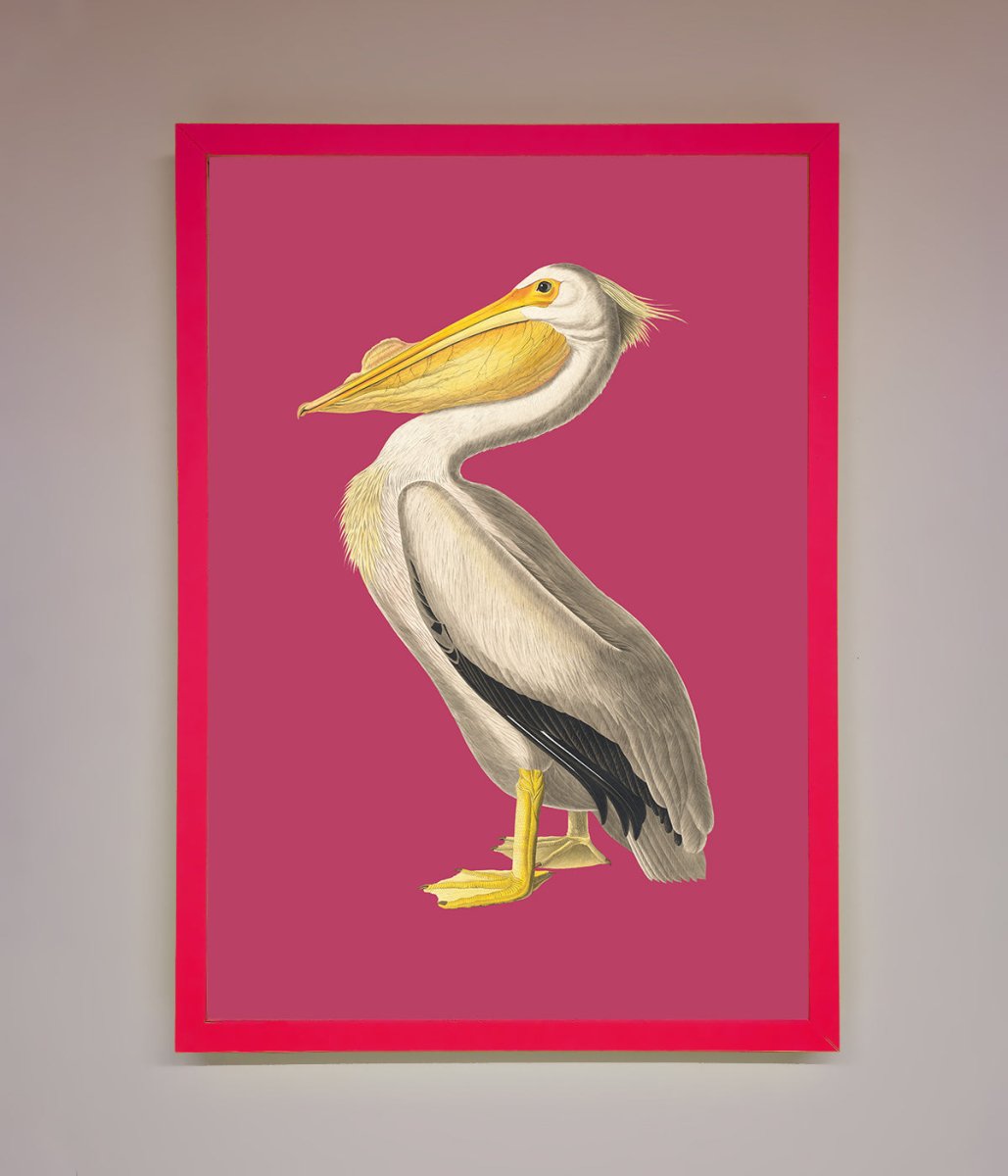 Pelican On Pink Framed Poster