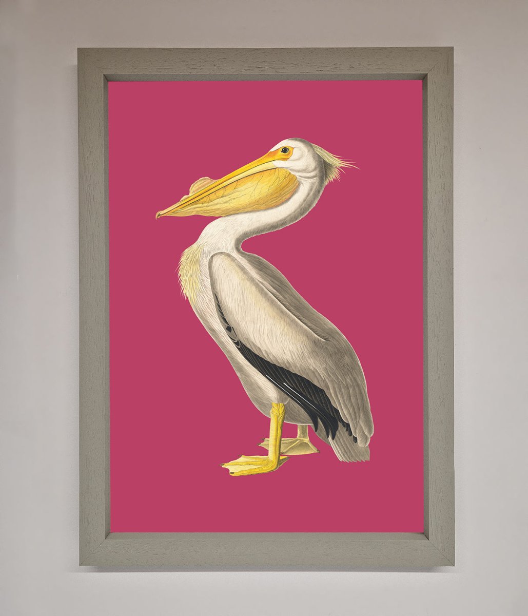 Pelican On Pink Framed Poster