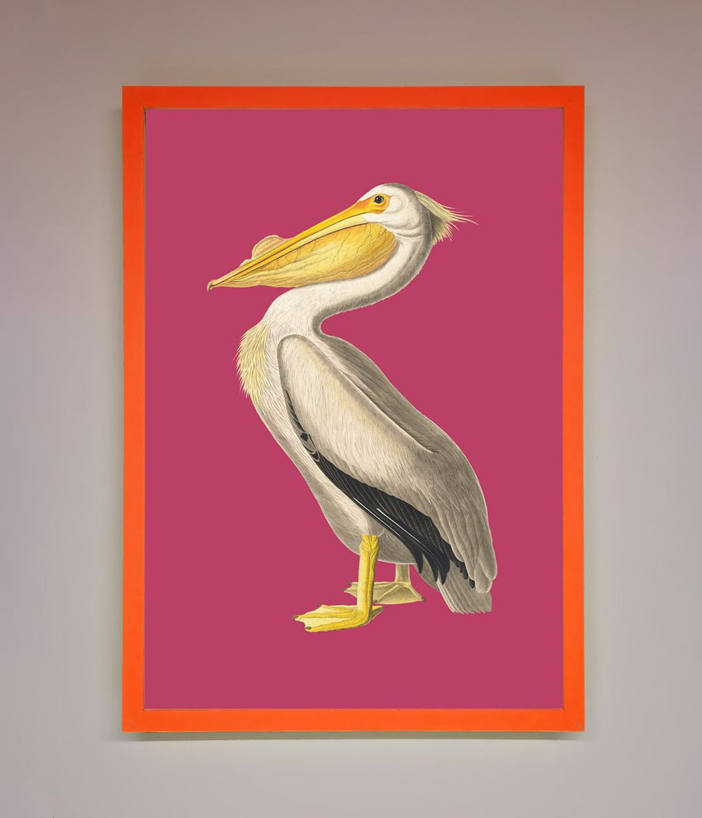 Pelican On Pink Framed Poster