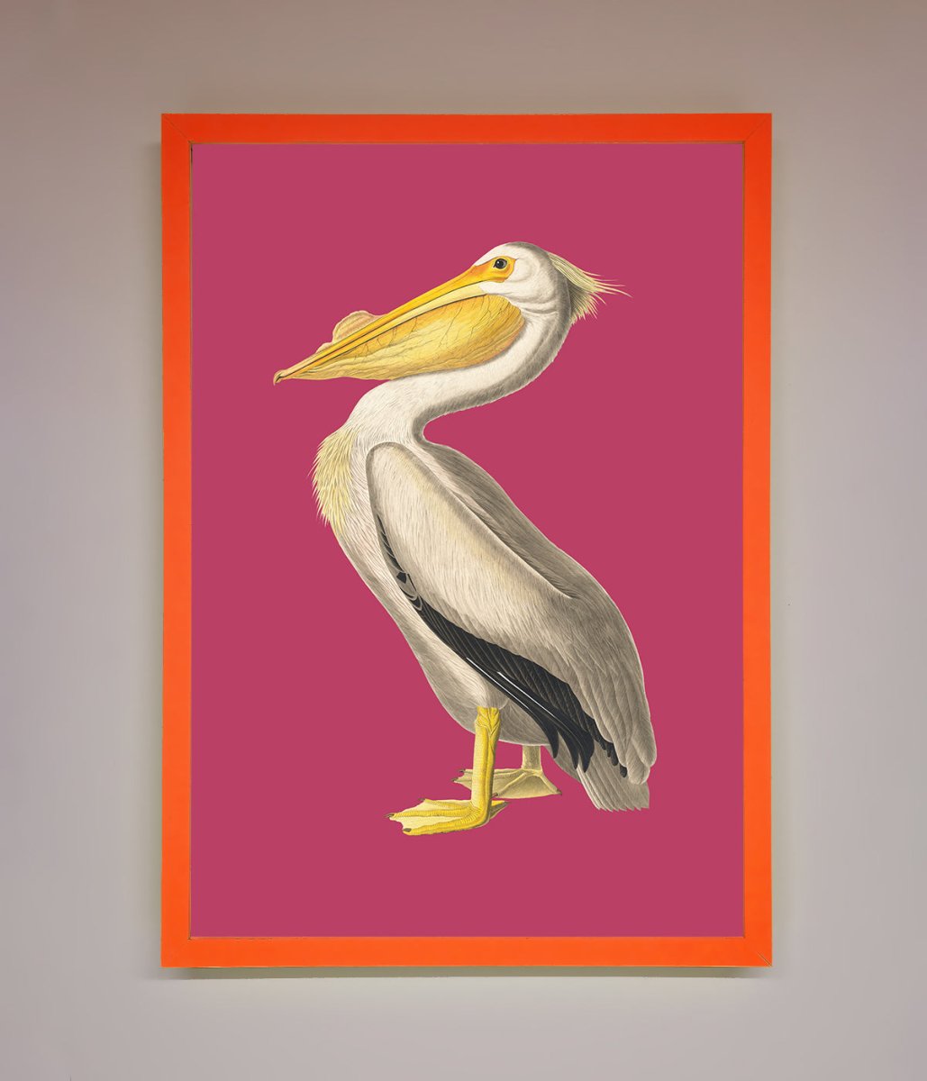 Pelican On Pink Framed Poster