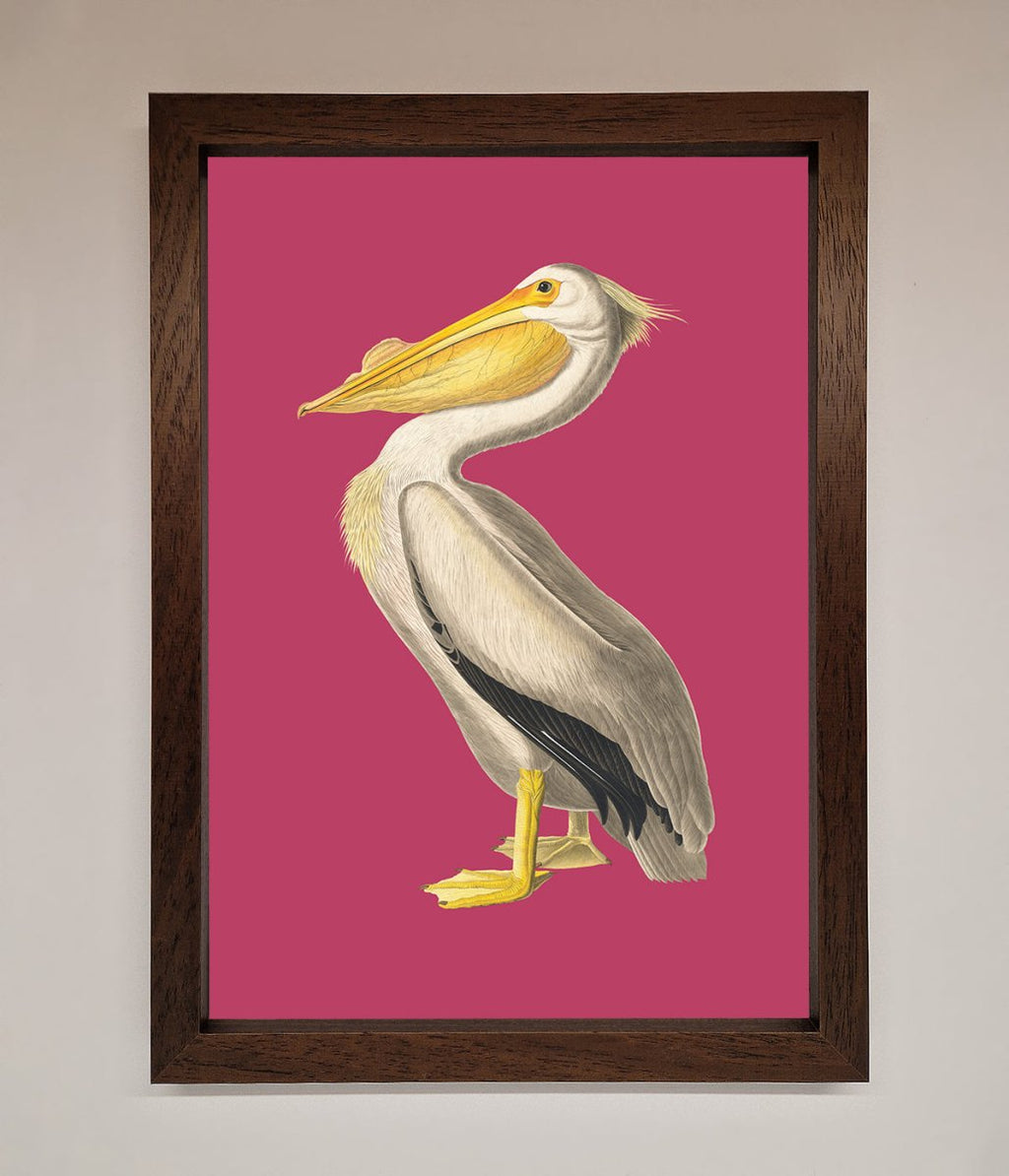 Pelican On Pink Framed Poster