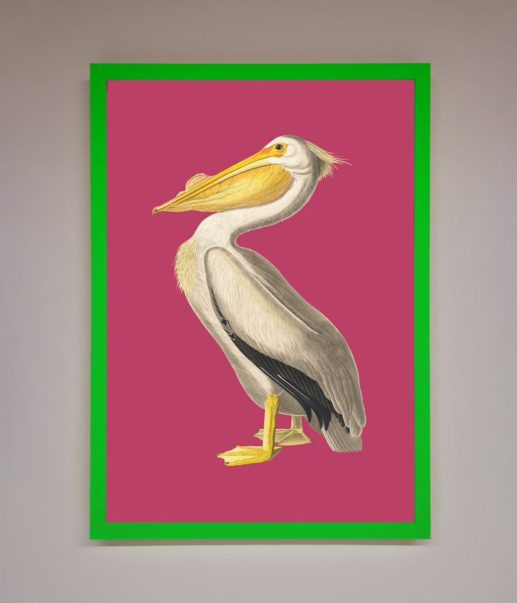 Pelican On Pink Framed Poster