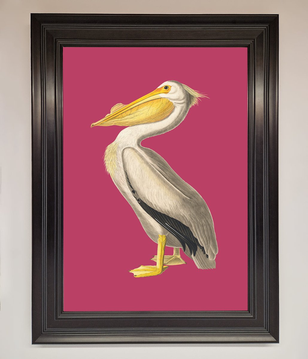 Pelican On Pink Framed Poster