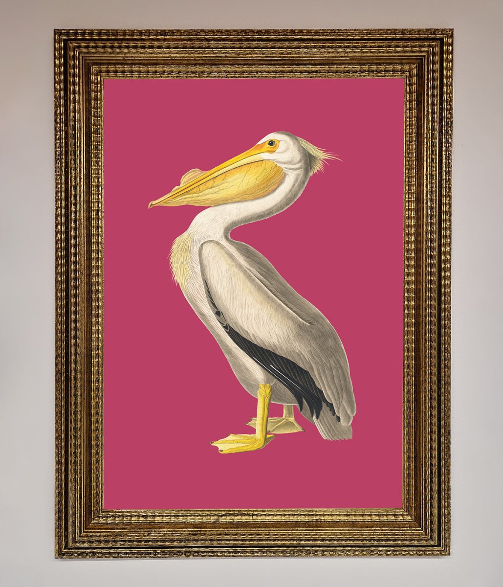 Pelican On Pink Framed Poster