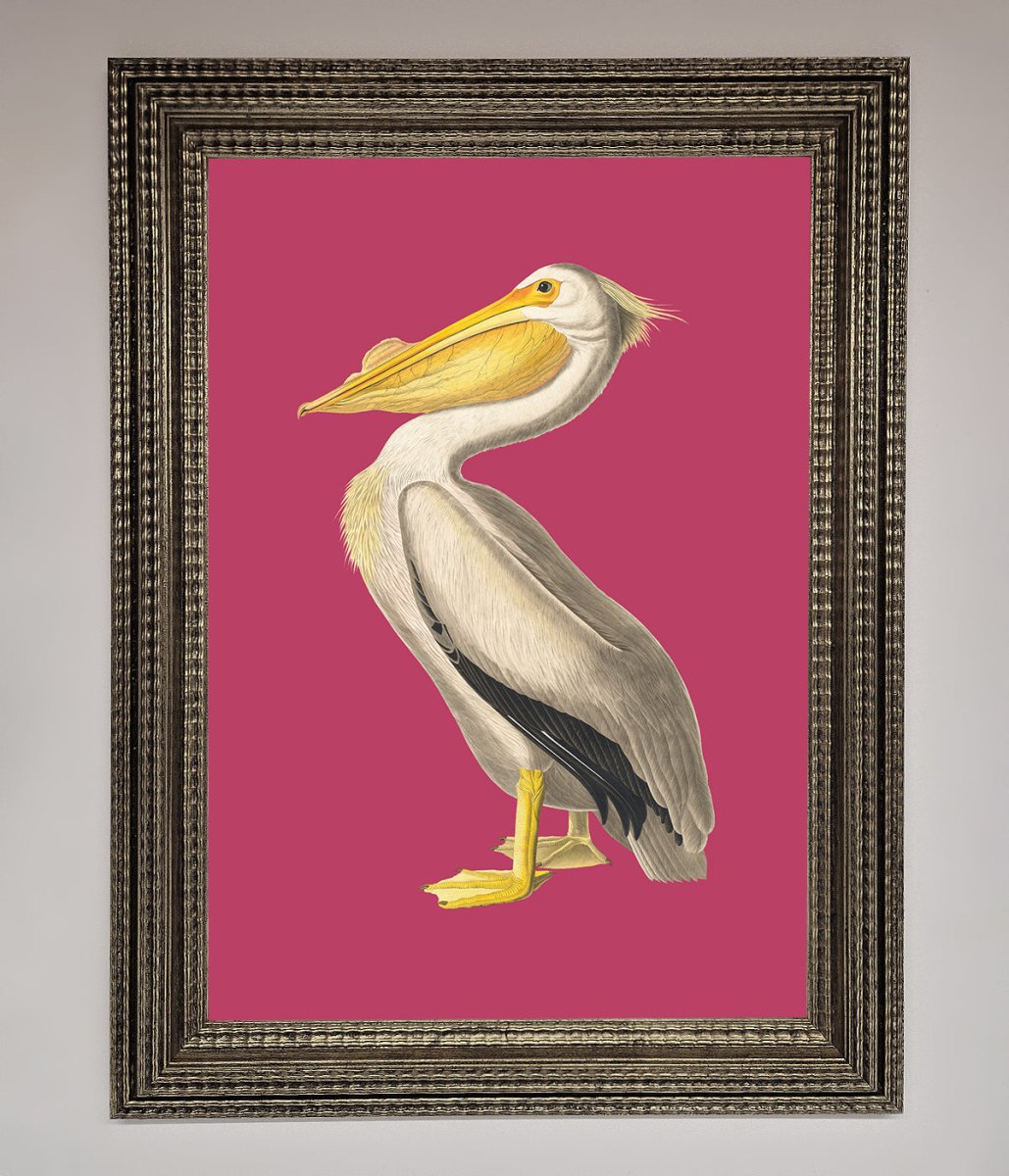 Pelican On Pink Framed Poster