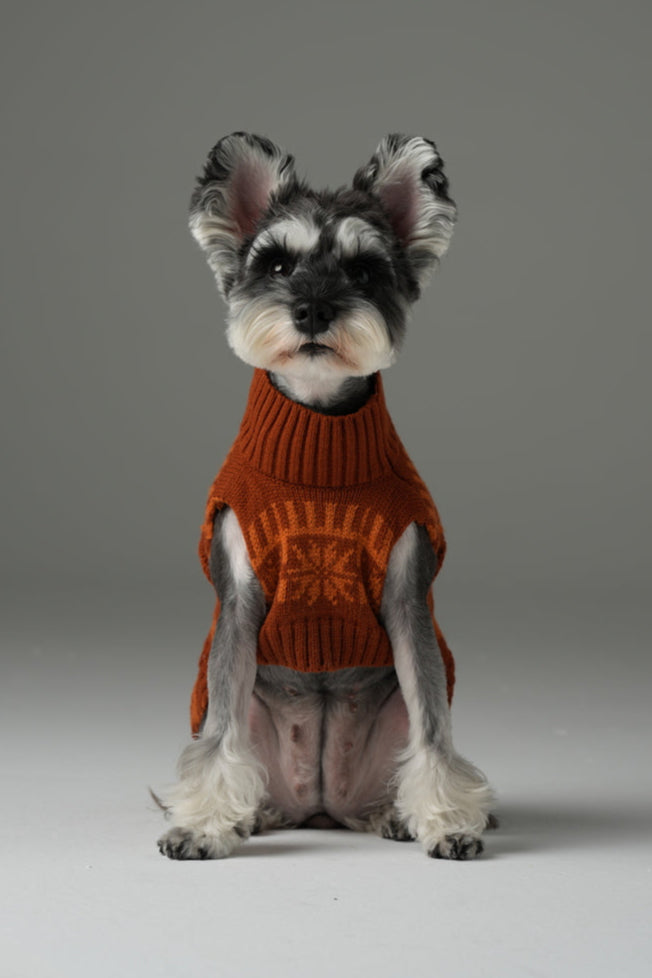 Pretzel Pet Sweater in Toffee Orange