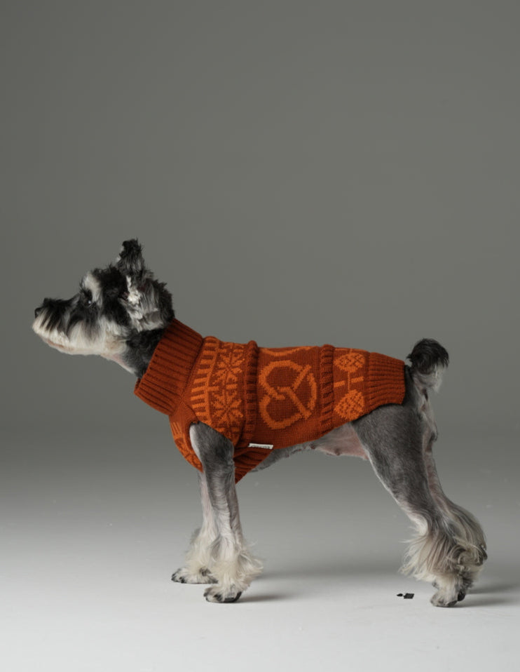 Pretzel Pet Sweater in Toffee Orange