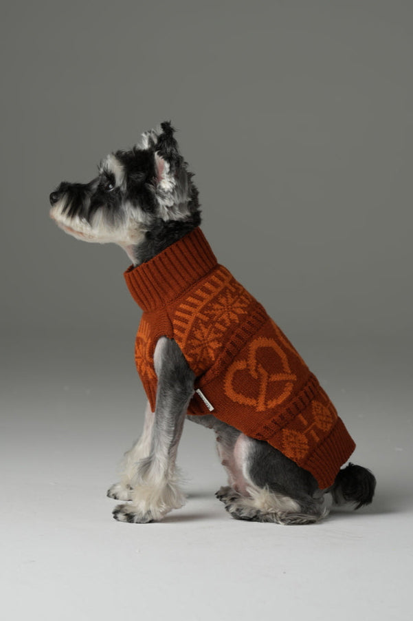 Pretzel Pet Sweater in Toffee Orange