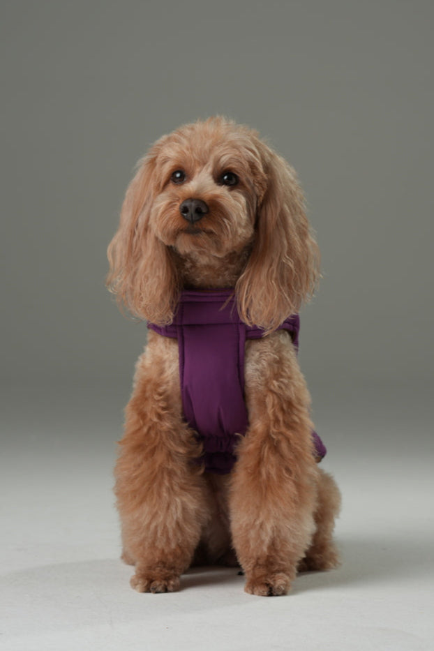 Reversible Dog Vest Jacket in Purple Caramel