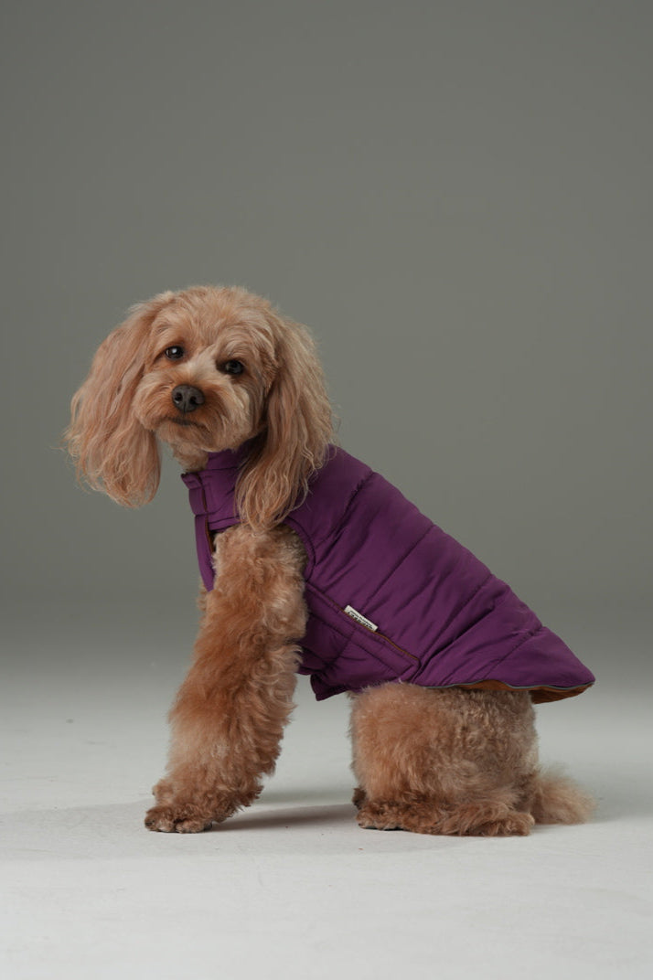 Reversible Dog Vest Jacket in Purple Caramel