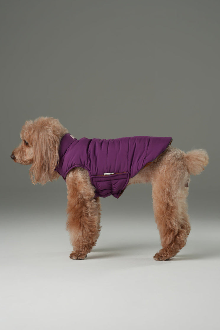 Reversible Dog Vest Jacket in Purple Caramel