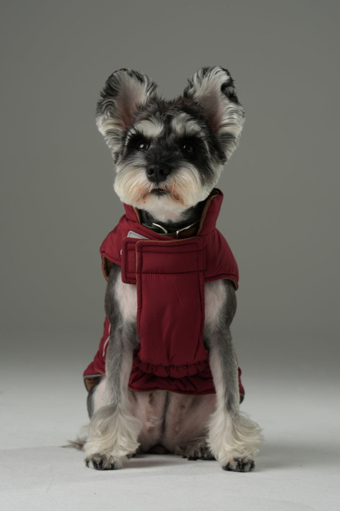 Reversible Dog Vest Jacket Red Brown