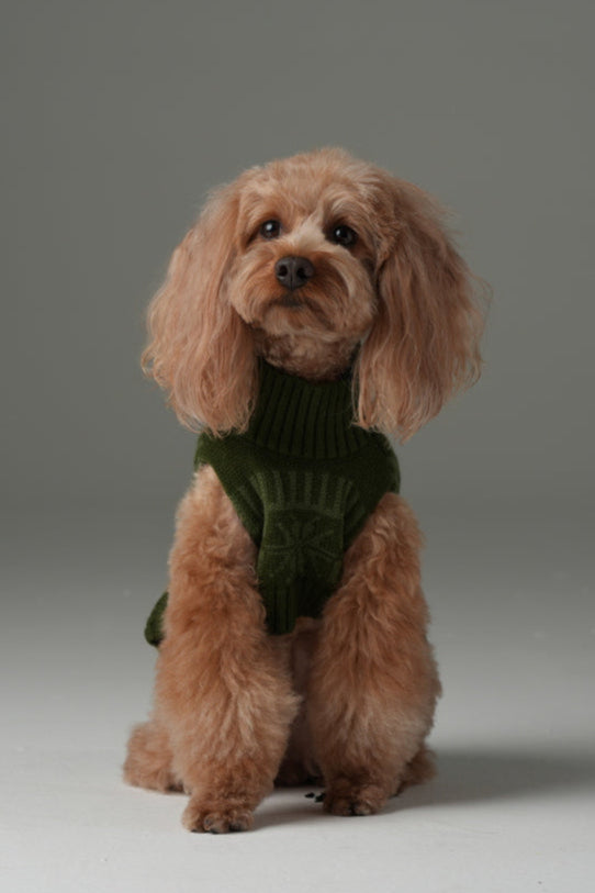 Olive Green Pretzel Pet Sweater