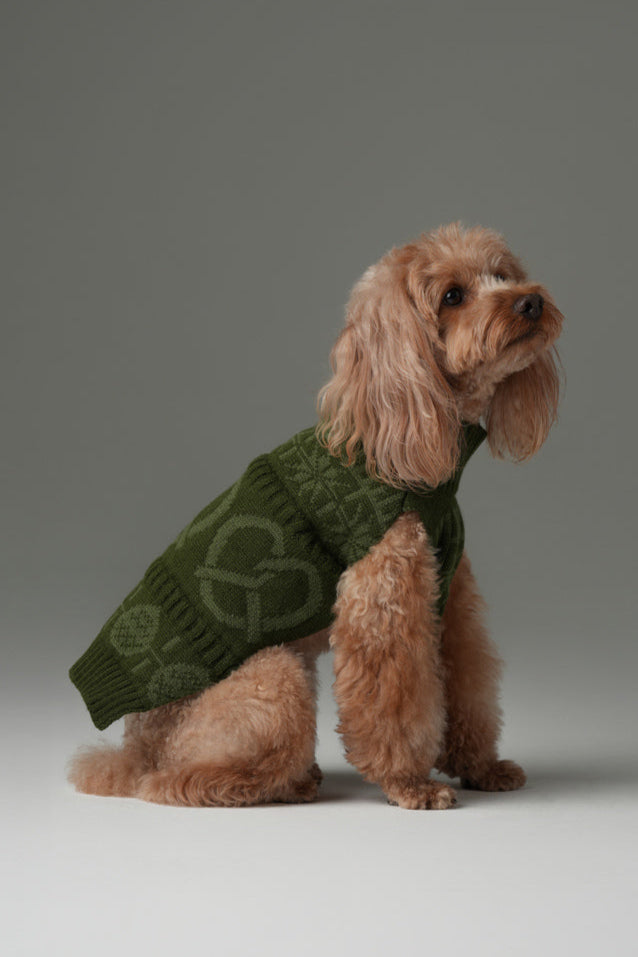 Olive Green Pretzel Pet Sweater
