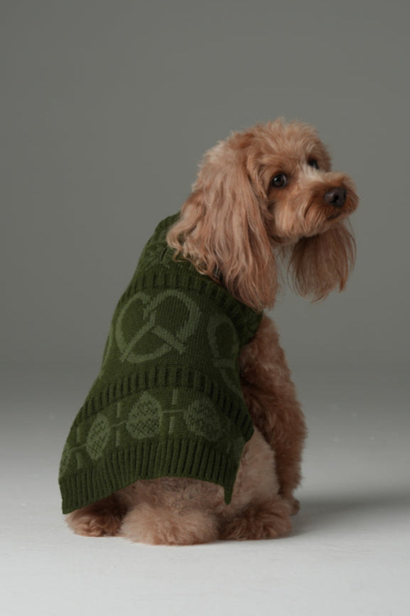 Olive Green Pretzel Pet Sweater