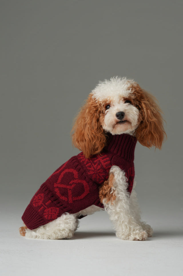 Pretzel Pet Sweater in Burgundy Red