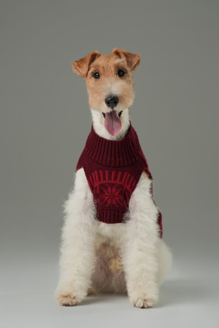 Pretzel Pet Sweater in Burgundy Red