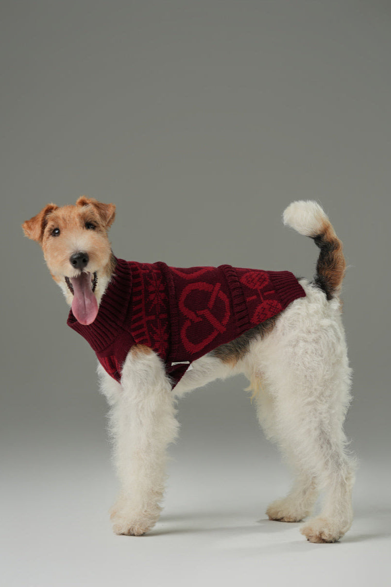 Pretzel Pet Sweater in Burgundy Red