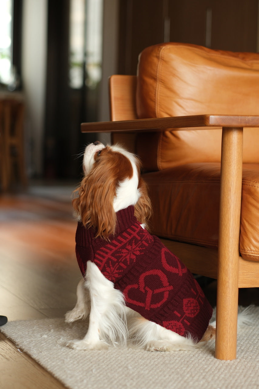 Pretzel Pet Sweater in Burgundy Red