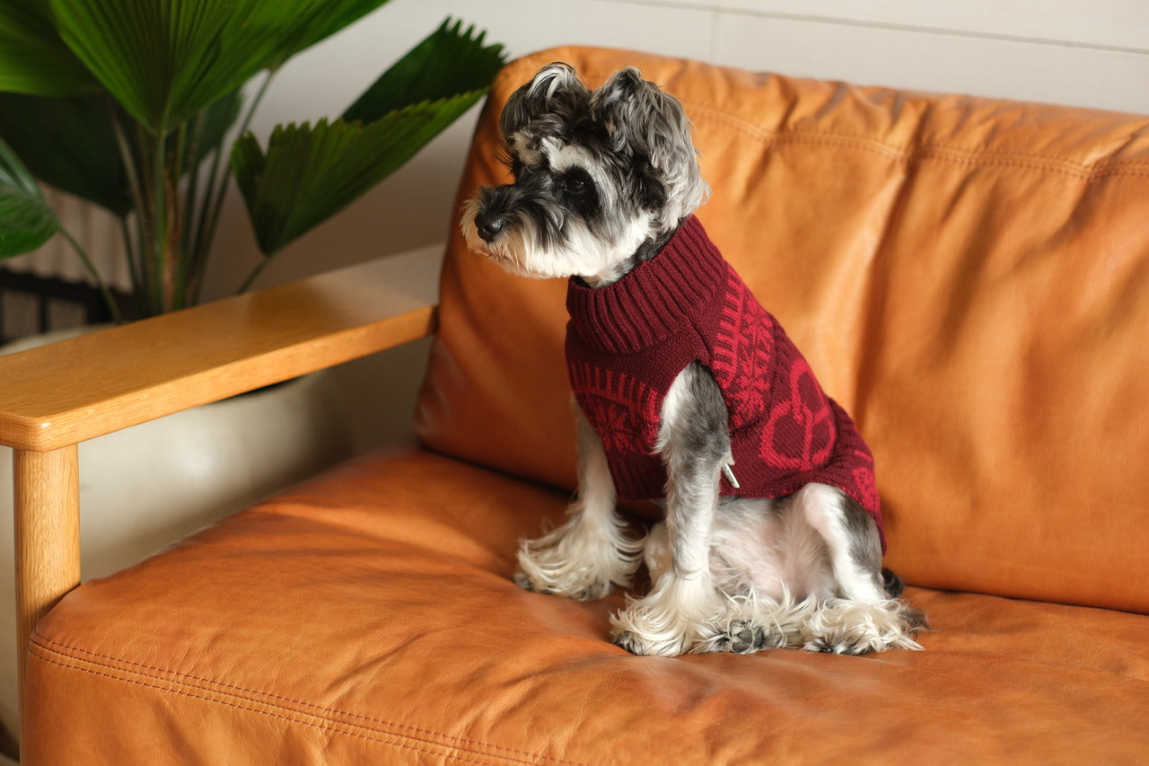 Pretzel Pet Sweater in Burgundy Red