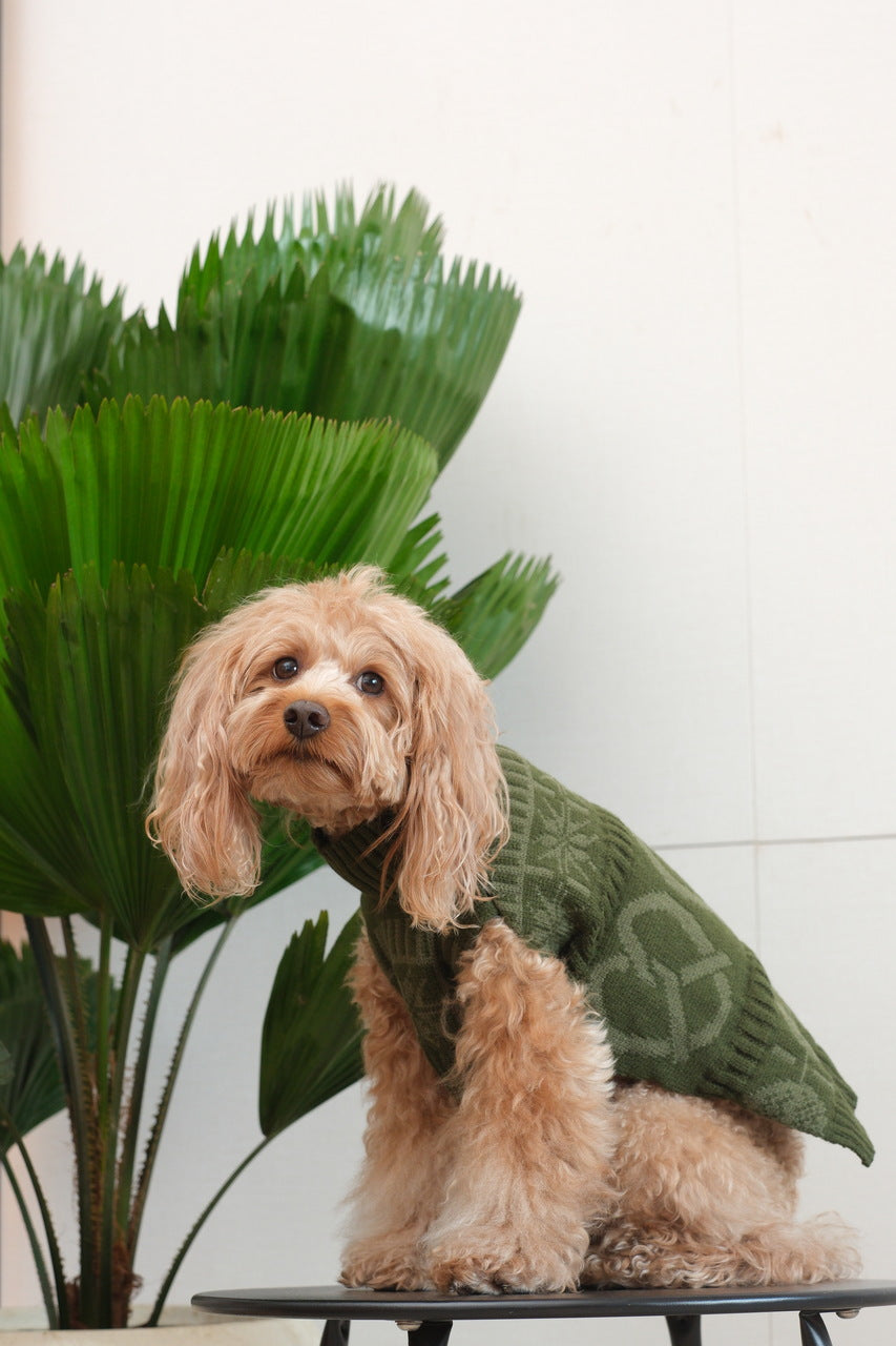 Olive Green Pretzel Pet Sweater