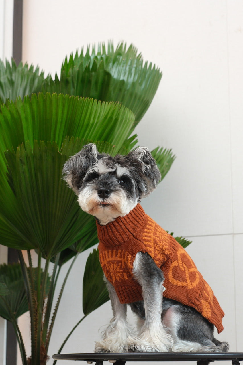 Pretzel Pet Sweater in Toffee Orange