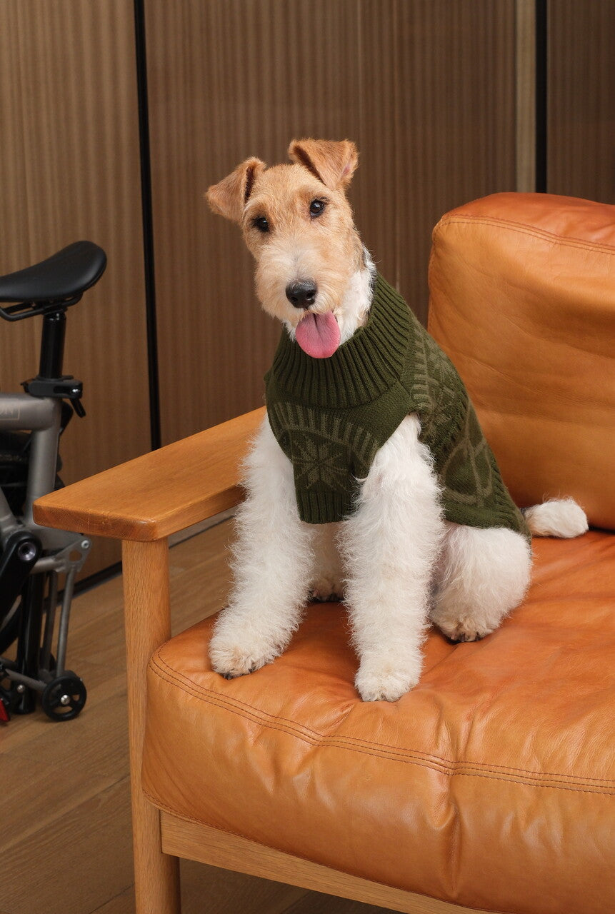 Olive Green Pretzel Pet Sweater