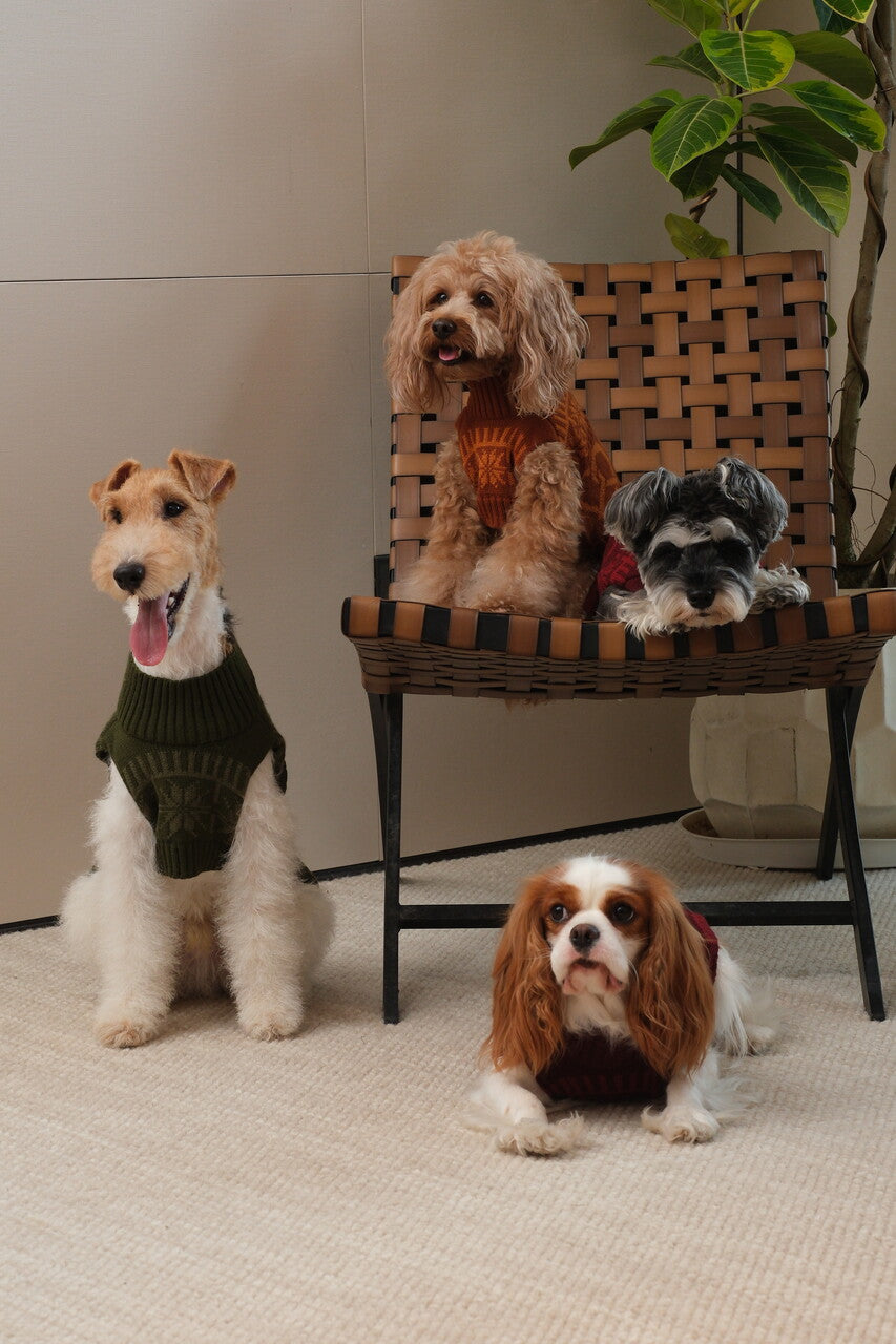 Olive Green Pretzel Pet Sweater