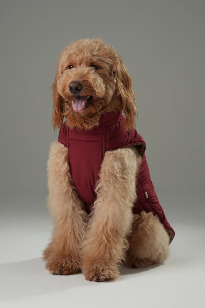 Reversible Dog Vest Jacket Red Brown