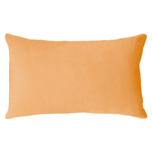 Scorpio Season Needlepoint Cushion