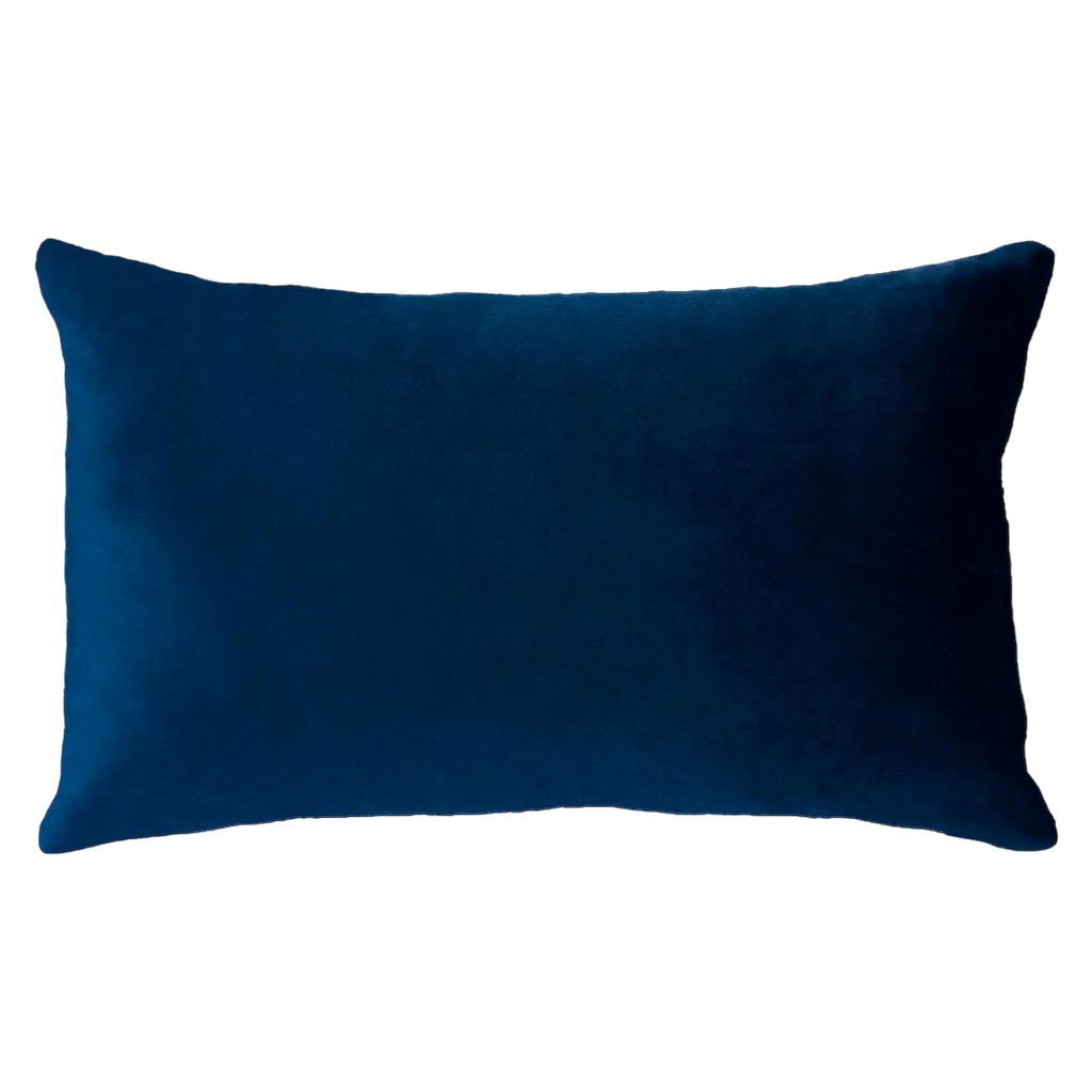 Netflix & Chill Needlepoint Cushion