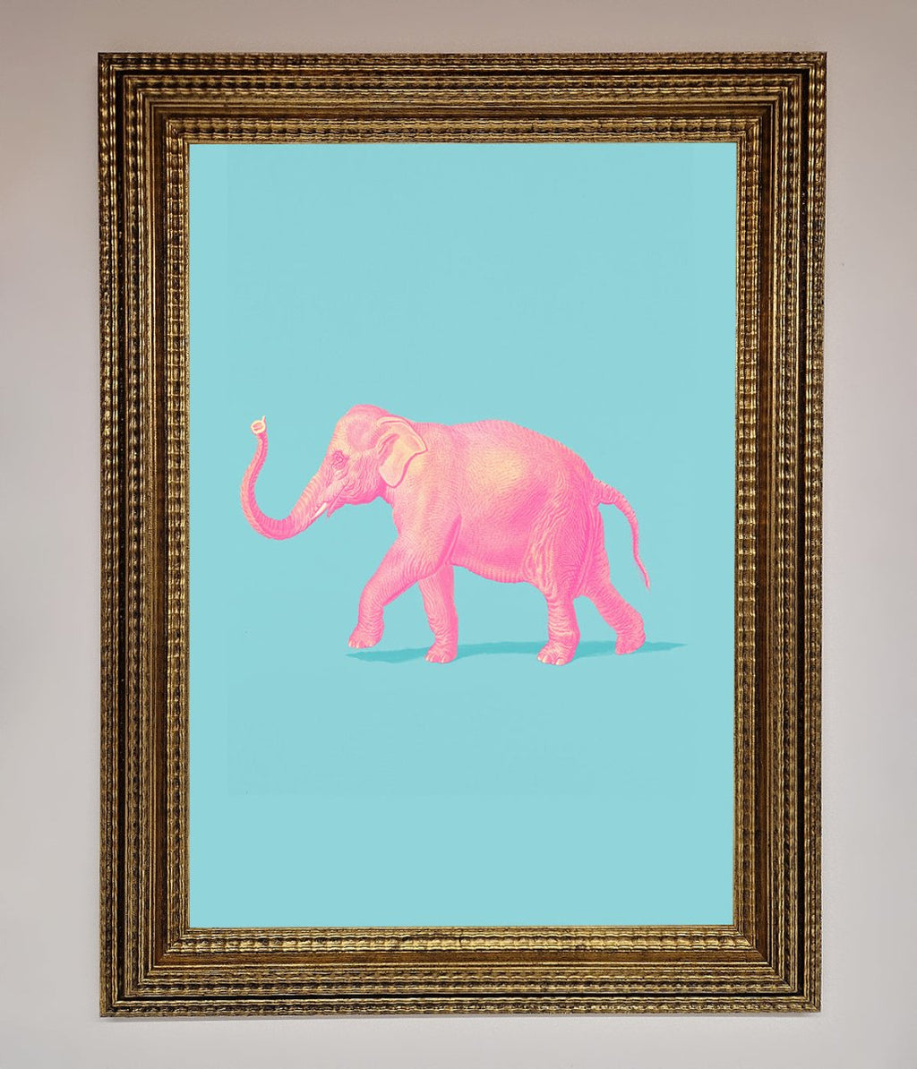Pink Elephant On Blue Framed Print