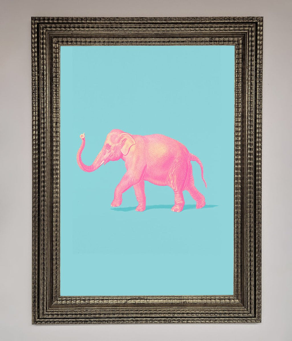 Pink Elephant On Blue Framed Print