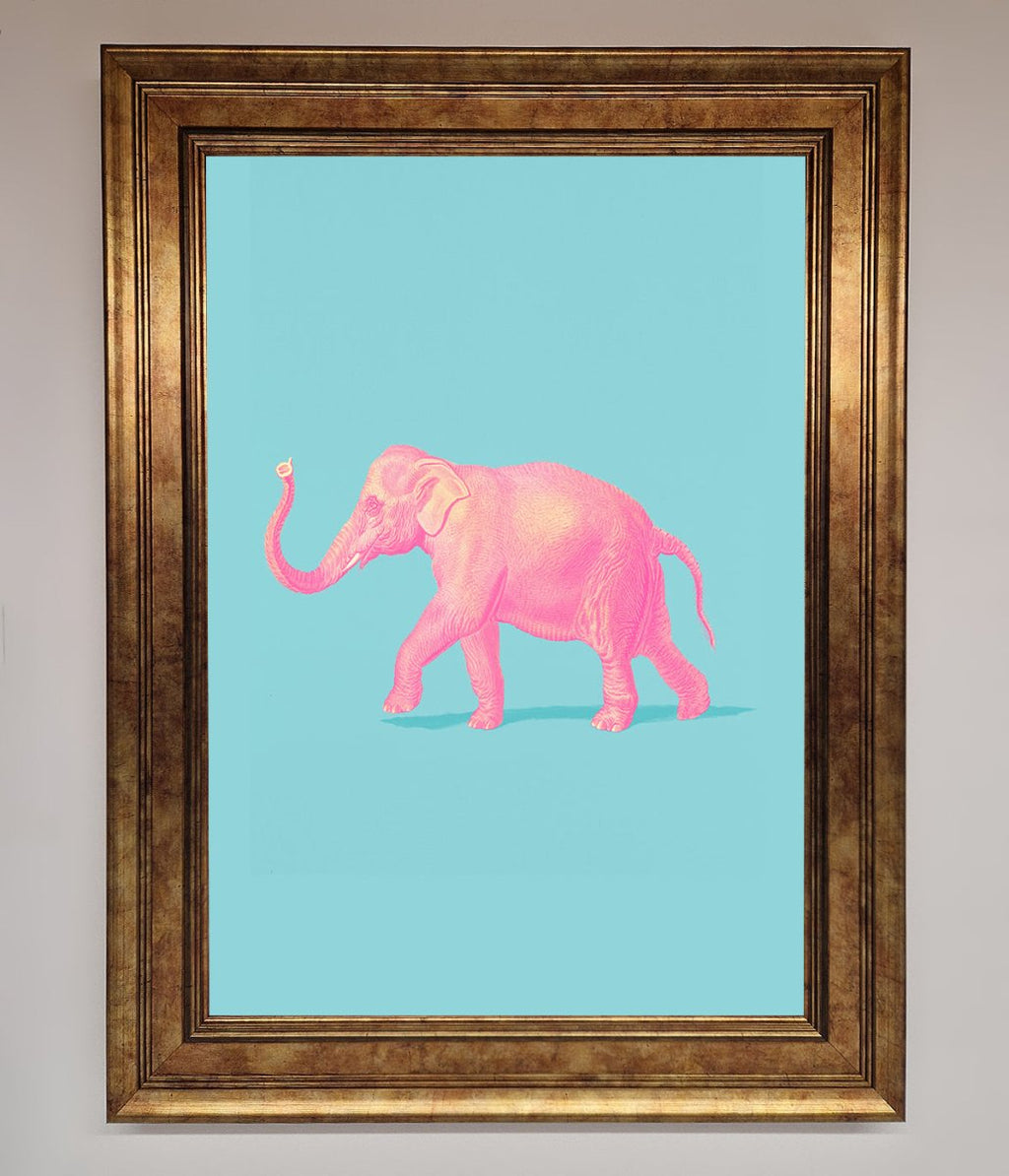 Pink Elephant On Blue Framed Print