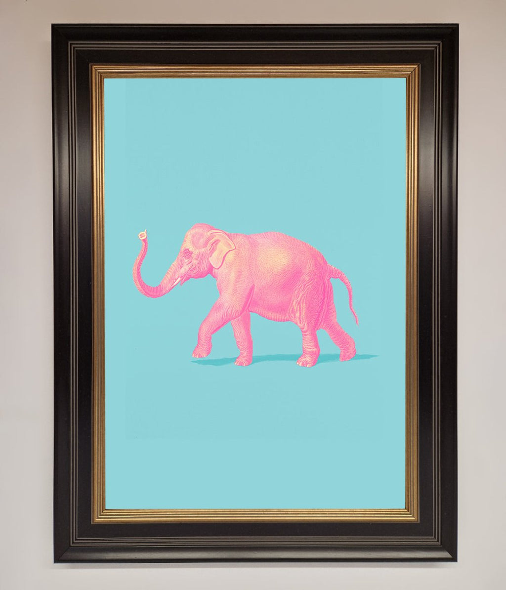 Pink Elephant On Blue Framed Print
