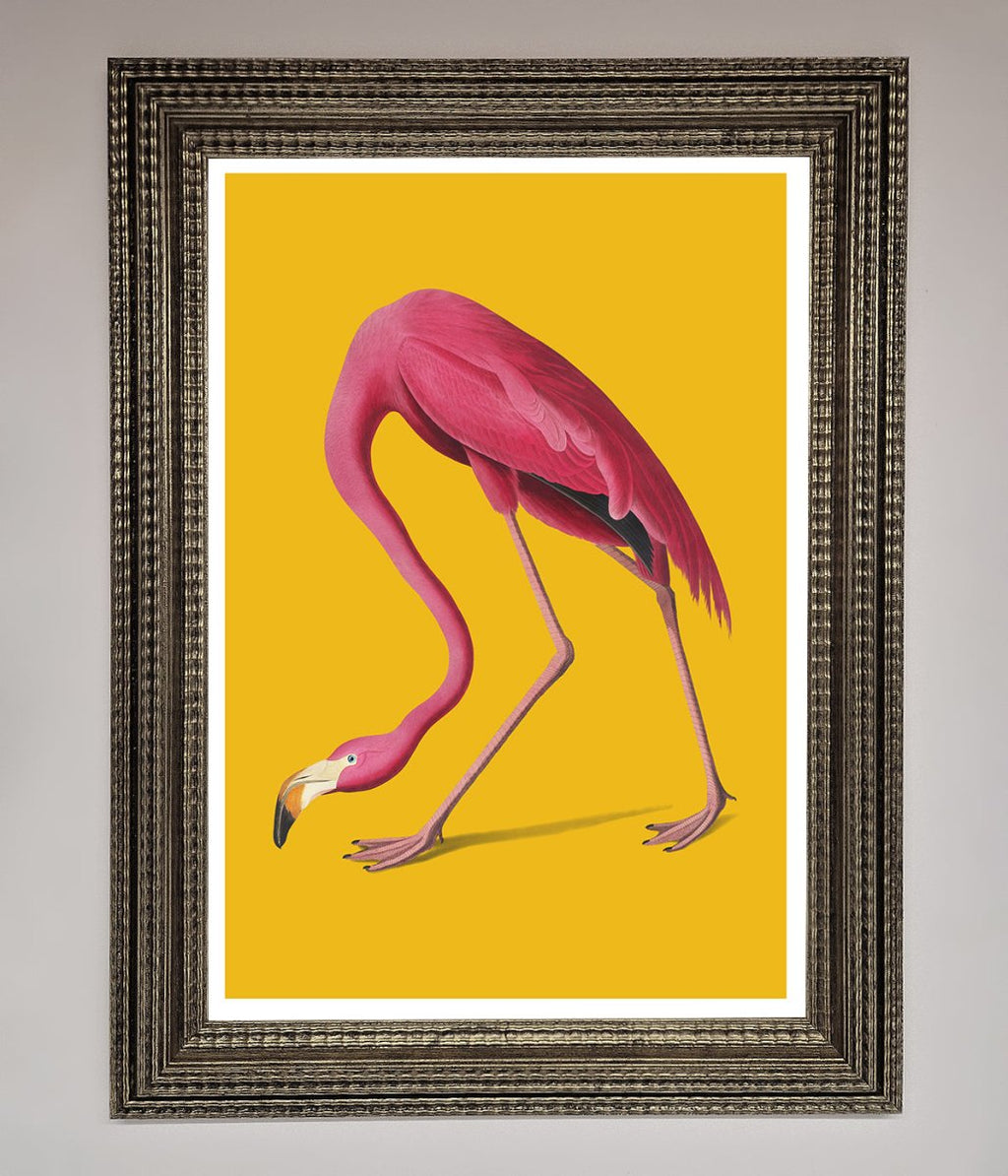 Pink Flamingo On Yellow Framed Print