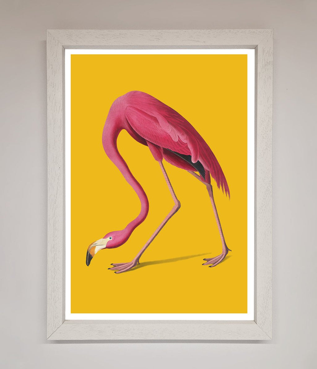 Pink Flamingo On Yellow Framed Print