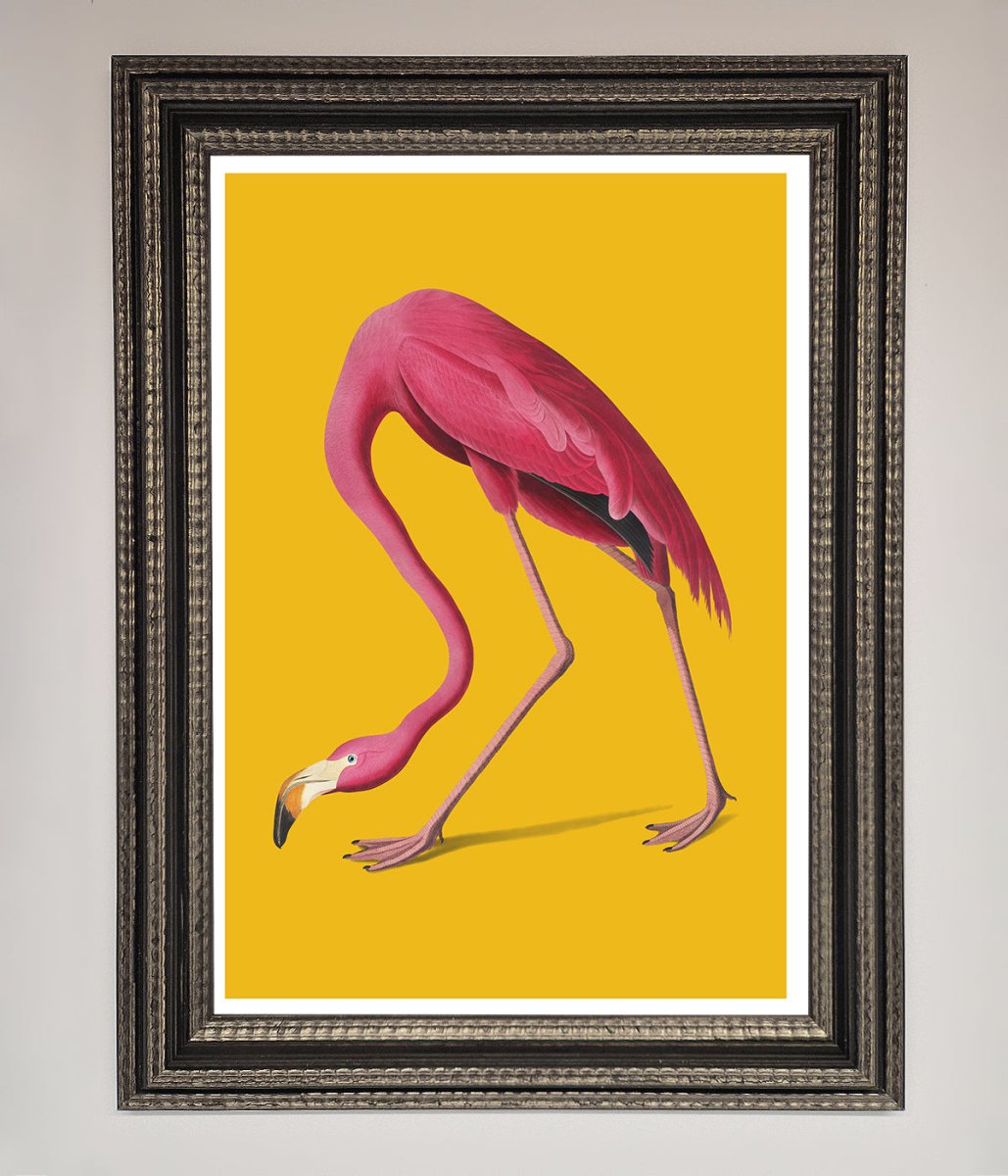 Pink Flamingo On Yellow Framed Print